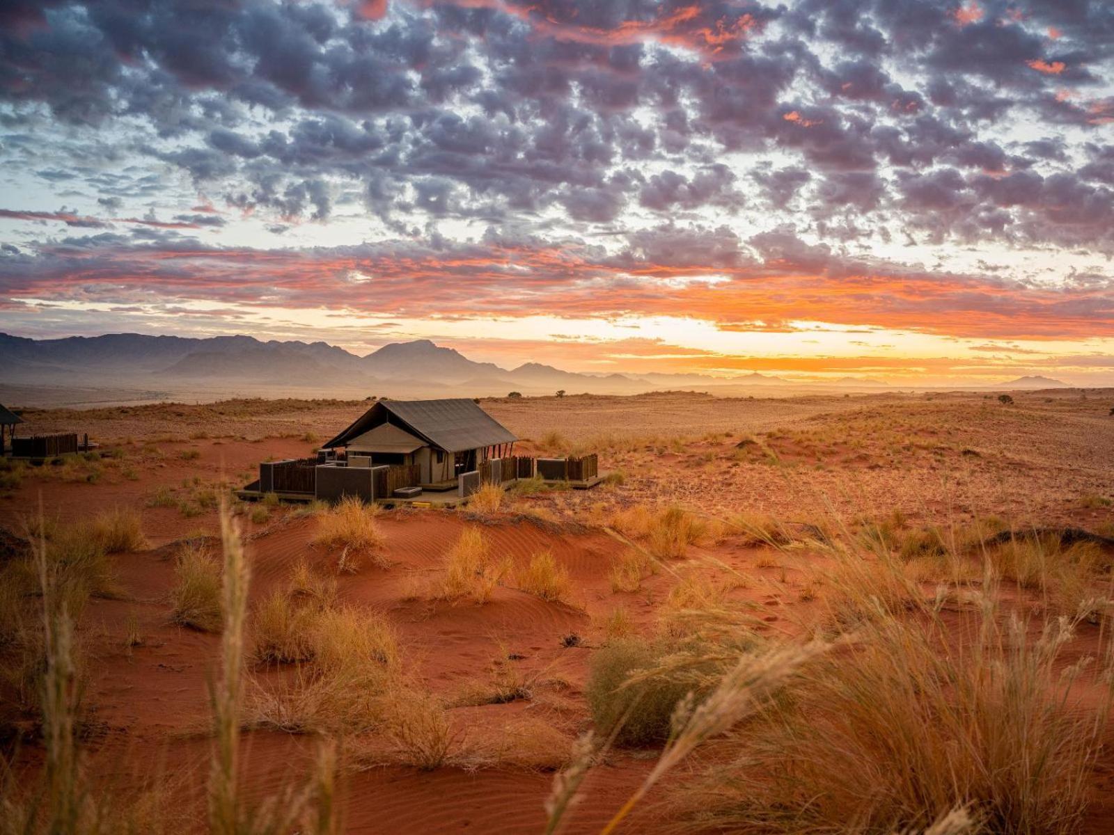 Wolwedans Dune Camp NamibRand المظهر الخارجي الصورة